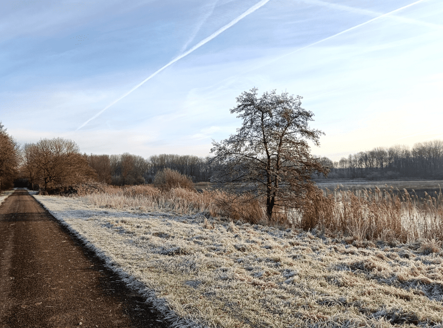 Wandeling Natuurpark Lelystad Nationaal Park Nieuwland